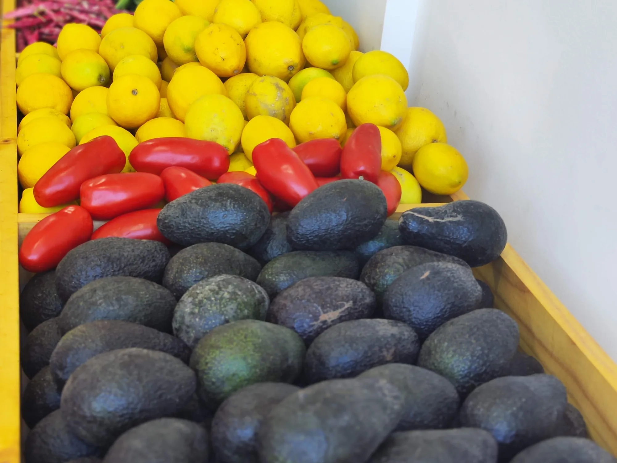Cajones de palta Hass recién exhibidas en el local de Hasspal en Concón